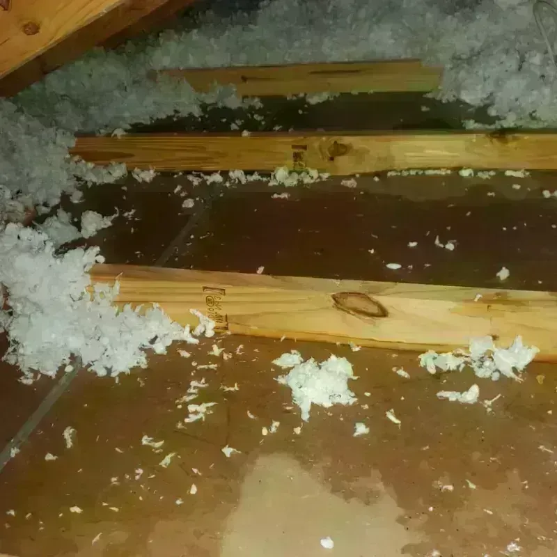 Attic Water Damage in Godfrey, IL