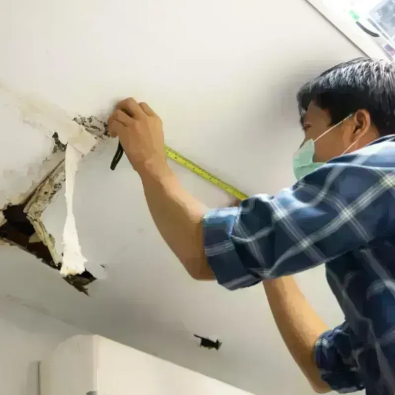 Ceiling And Wall Water Damage in Godfrey, IL