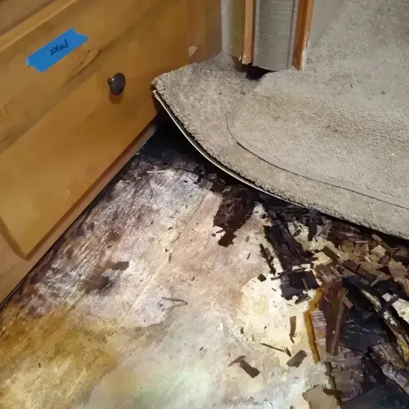 Wood Floor Water Damage in Godfrey, IL